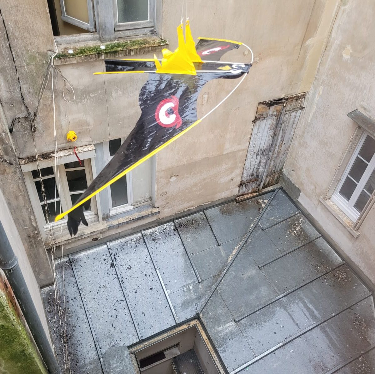 Pigeons effaroucheurs pose