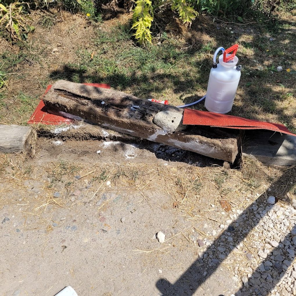 Dératisation rats souris Essonne